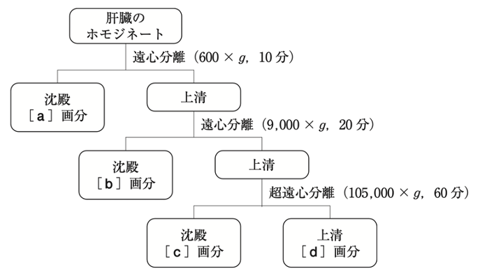 解説画像
